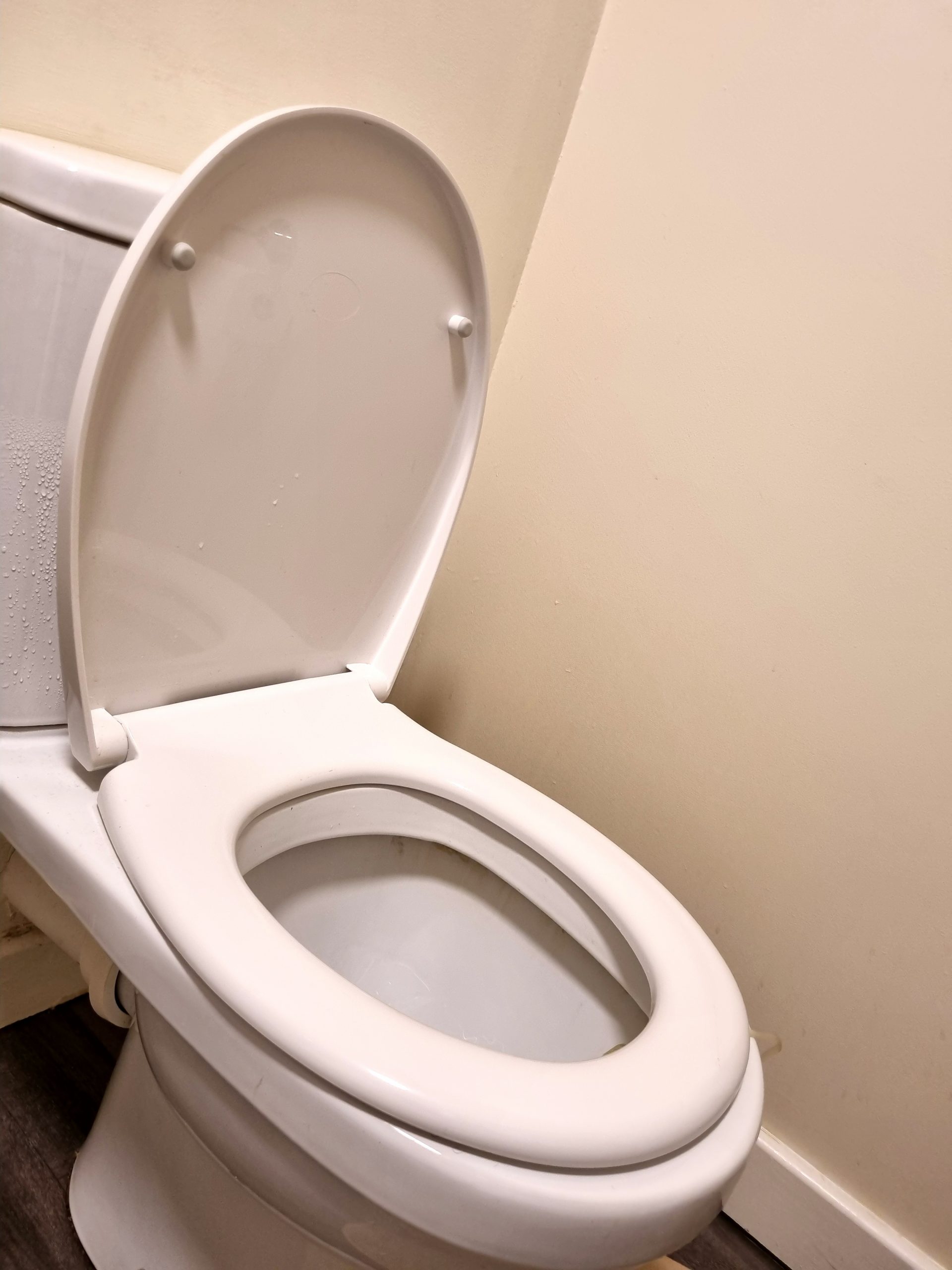 How to Change a Toilet Seat